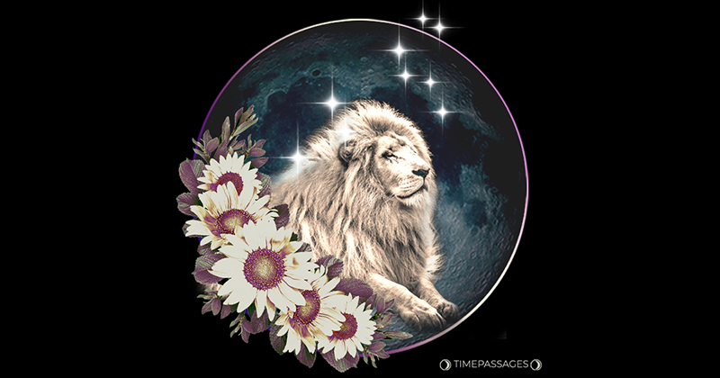 A Leo New Moon of Evolutionary Creativity